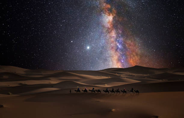 Camels walking across massive sand dunes in the Sahara